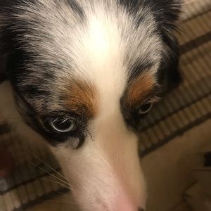 Meet your Posher, Melinda